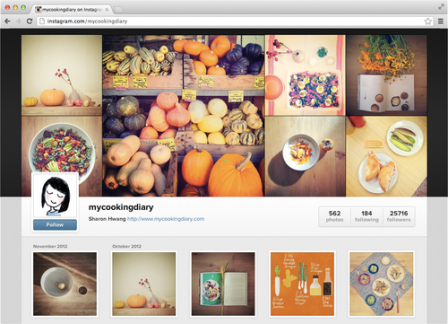 Instagram profiles on the web