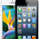 iPhone 5 display