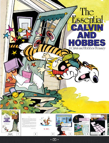 Calvin hobbes