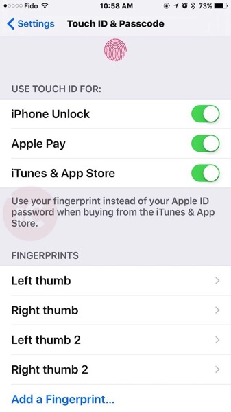 Touch id fingerprint