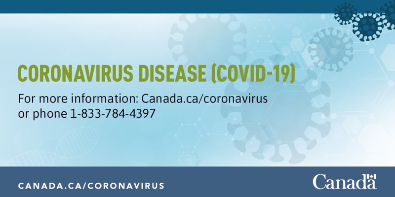 Coronavirus fraud