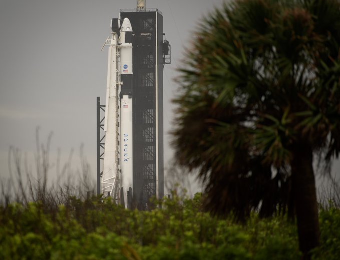 Nasa spacex launch