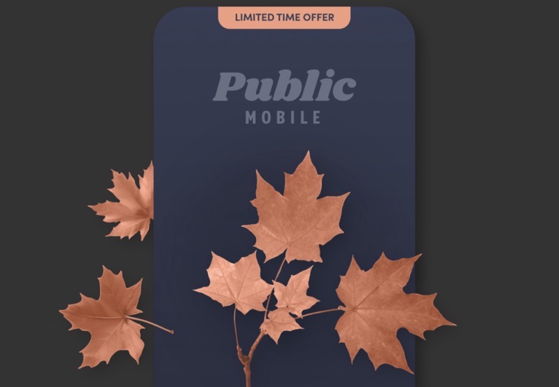 public mobile fall offer